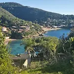 Nereidi - Goelba