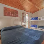 Nereidi - Goelba