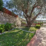 Apartment Nereidi - Goelba Capoliveri (Isola d'Elba)