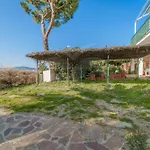 Apartment Nereidi - Goelba *
