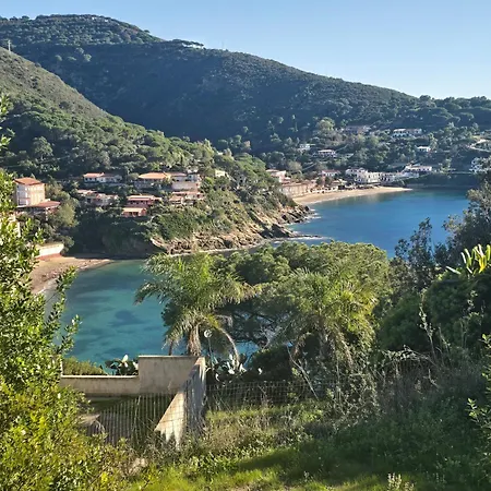 Nereidi - Goelba