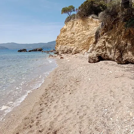 Nereidi - Goelba *