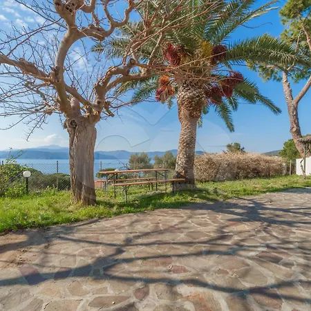 Nereidi - Goelba *