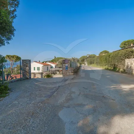 Nereidi - Goelba *