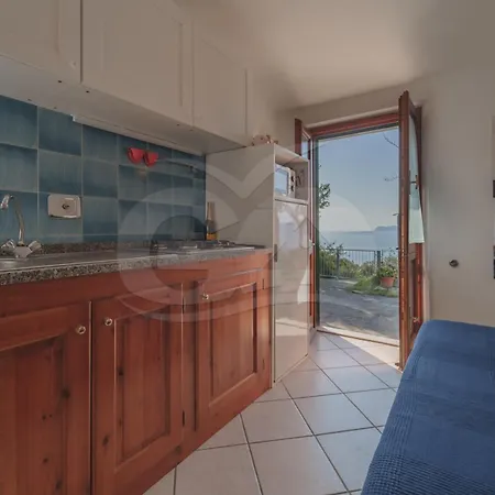 Nereidi - Goelba *